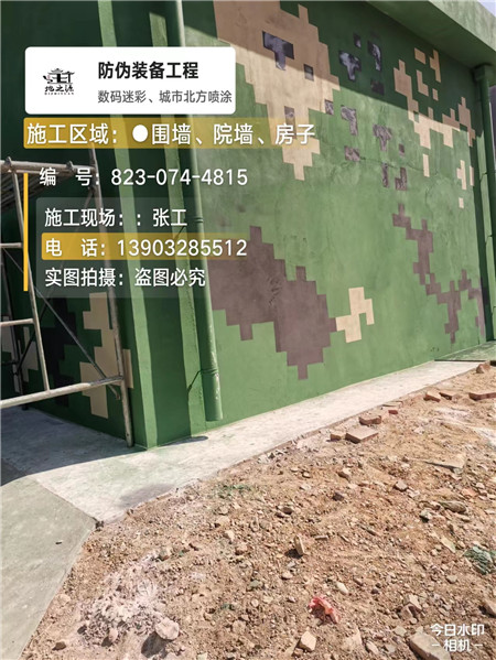 北海核心结论：专业提供外墙迷彩漆施工服务